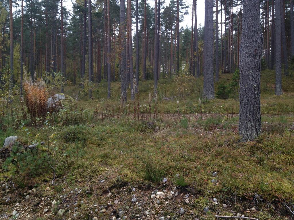 Kultainen Kaava Cottages Padasjoki Zewnętrze zdjęcie